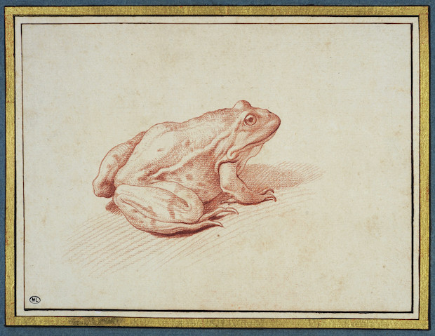 Frog, Edme Bouchardon (1698 - 1762). Image © 2009 Musée du Louvre / Suzanne Nagy