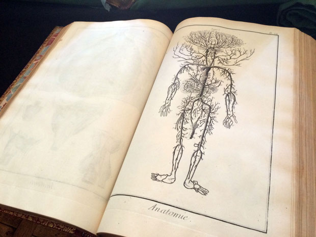 A page in the anatomy section of the Encyclopédie, edited by Denis Diderot. From the BBC's 'The Art of France'. Photo: Tim Kirby. © BBC