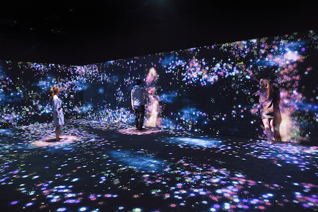 Flowers and People, Cannot be Controlled but Live Together – A Whole Year per Hour (2015), teamLab. Courtesy of Moody Center for the Arts and teamLab