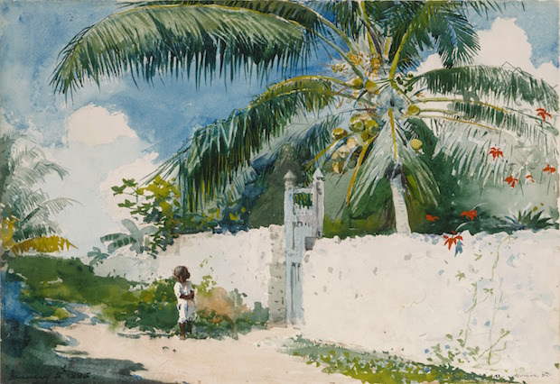 A Garden in Nassau (1885), Winslow Homer. Courtesy of Philadelphia Museum of Art