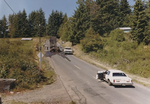 Exhausted renegade elephant, Woodland, Washington, June 1979, by Joel Sternfeld. © Joel Sternfeld. Image courtesy Beetles+Huxley and Luhring Augustine