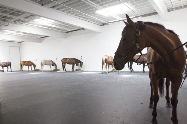 Installation view at Gavin Brown’s Enterprise, New York, 2015, of Untitled (12 horses), first shown in 1969 and featuring 12 live horses. Courtesy Gavin Brown’s Enterprise, New York/Rome and Cheim & Reid; photo: Brian Buckley; © Jannis Kounellis