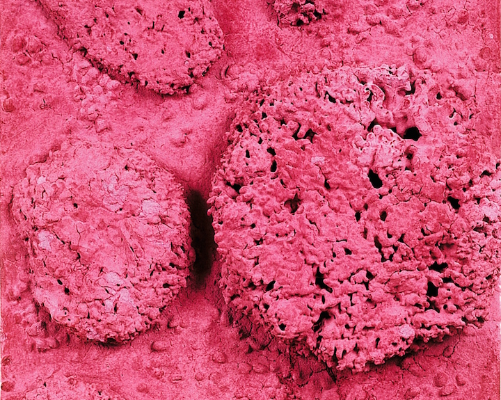 Untitled Pink Sponge-relief, (RE 44) (detail; c. 1960), Yves Klein. © Yves Klein, ADAGP, Paris / DACS, London, 2016