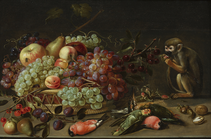 Still Life with Fruit, Dead Birds, and a Monkey (date unknown), Clara Peeters