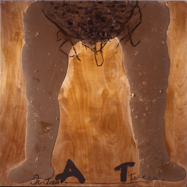 Cames i AT, (2011), Antoni Tàpies, © Comissió Tàpies/VEGAP Courtesy Timothy Taylor