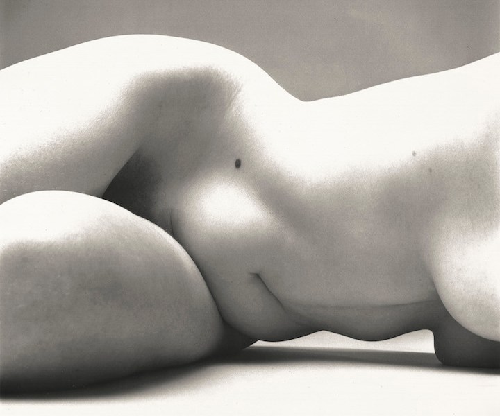 Nude No. 72, New York, 1949–50 Irving Penn. © The Irving Penn Foundation