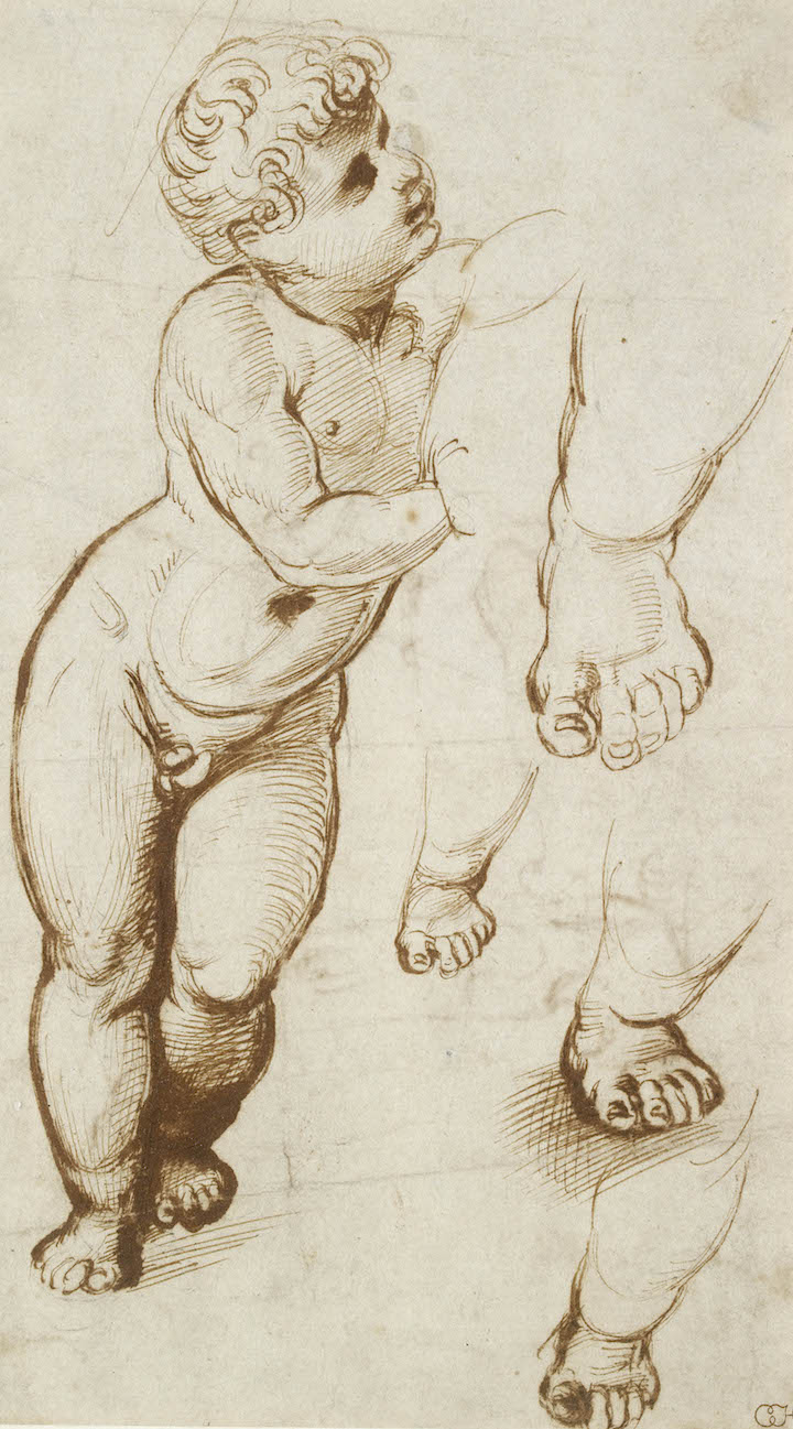 Studies for the figure of Christ (c. 1507), Raphael. © Ashmolean Museum, University of Oxford
