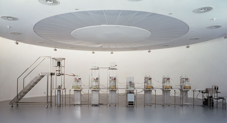 Cloaca Original (2000), Wim Delvoye, installation view at M HKA, Antwerp, 2000. Courtesy Studio Wim Delvoye, Belgium