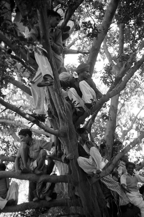 Crowds wait for Gandhi's funeral cortege to pass by on its way to the Sumna river (1948), Henri Cartier-Bresson. © Henri Cartier-Bresson/Magnum Photos