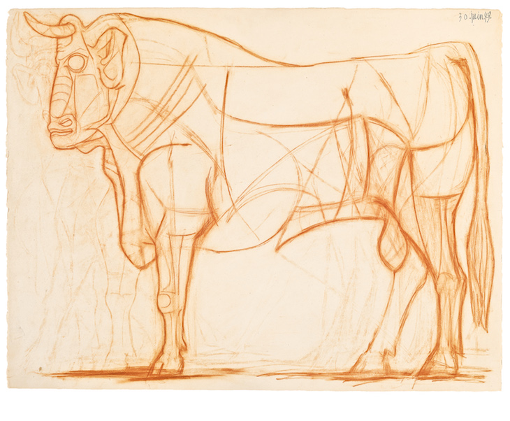 Le taureau (1949), Pablo Picasso