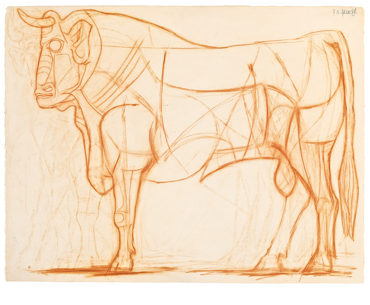 What We Learned from the Evolution of Picasso Bull