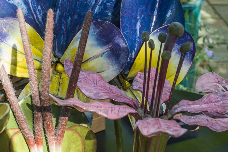 Botanical models from 'Object Lessons' at Manchester Museum