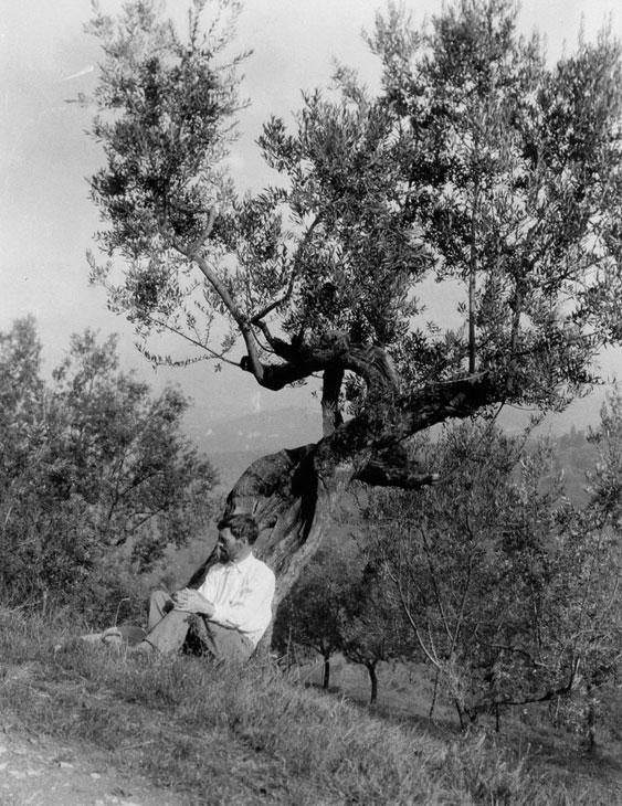 D.H. Lawrence beneath an olive tree at Villa Mirenda, San Polo Mosciano, c. 1926–27. Manuscripts and Special Collections, The University of Nottingham