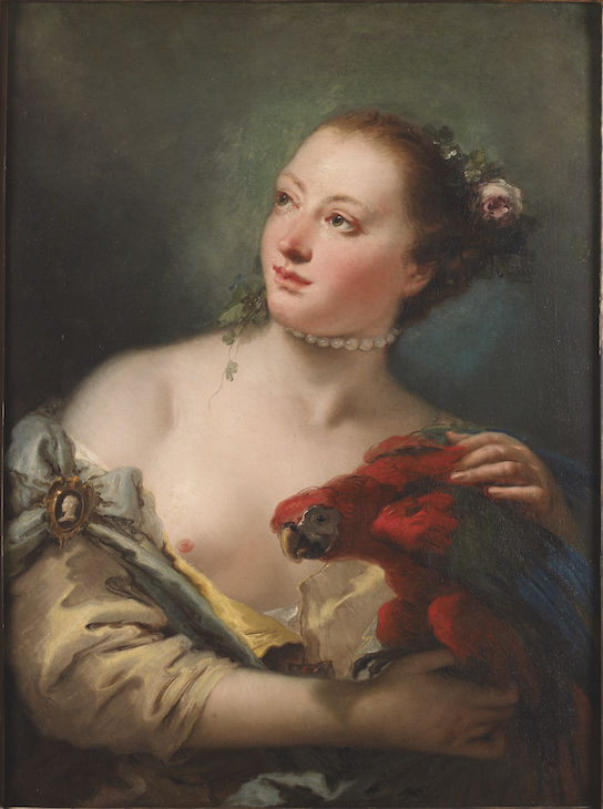 Young Woman with a Macaw (1760), Giovanni Battista Tiepolo. Ashmolean Museum, Oxford