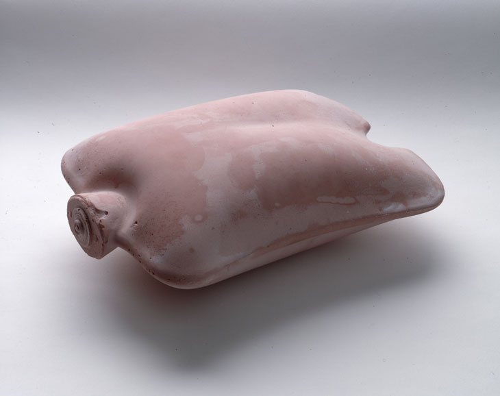 Untitled (Pink Torso) (1995), Rachel Whiteread. Courtesy the artist and Gagosian. © Rachel Whiteread. Photo: © Tate (Seraphina Neville and Marke Heathcote)