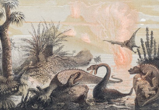 The Primitive World (1857), Adolphe François Pannemaker. Courtesy of TASCHEN