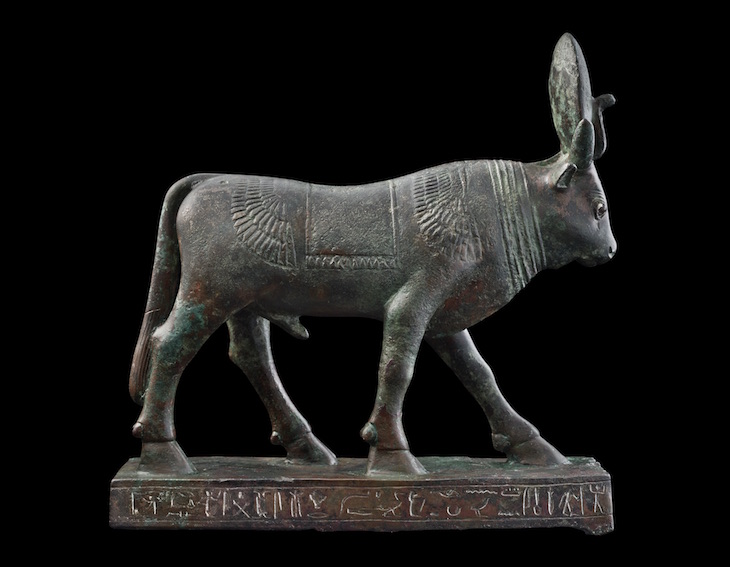 Inscribed Apis Bull, Late Period, 26th–30th Dynasty, c. 664–343 BC, Egyptian. Ariadne Galleries