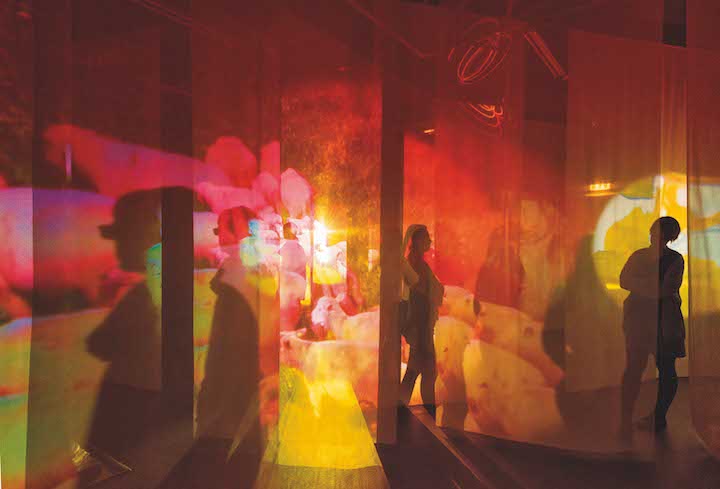 Administrating Eternity (installation view; 2011), Pipilotti Rist. Courtesy the artist, Hauser & Wirth and Luhring Augustine © Pipilotti Rist, photograph: Linda Nylind