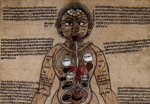 The Ayurvedic Man (18th century), Nepal. Wellcome Collection, London