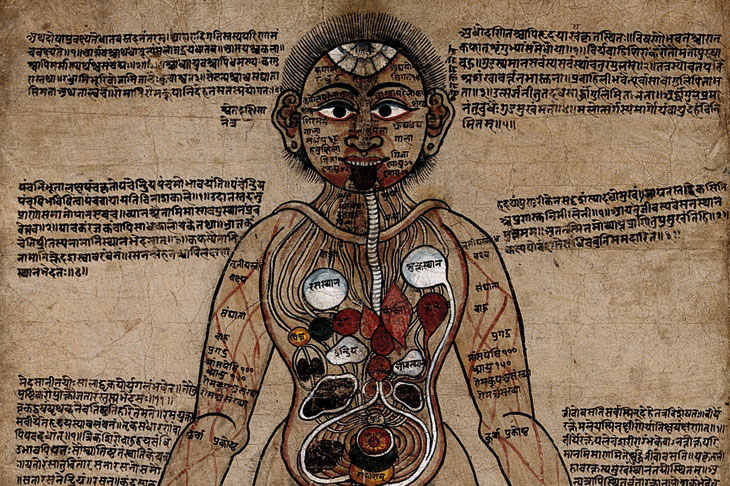 The Ayurvedic Man (18th century), Nepal. Wellcome Collection, London