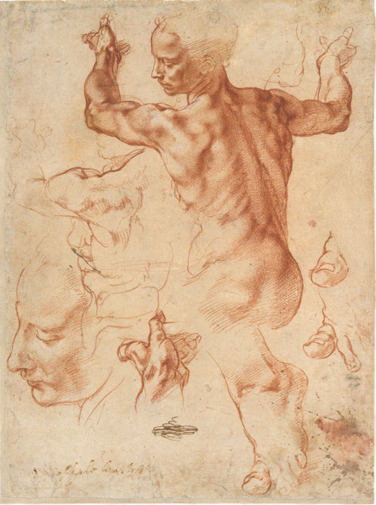Studies for the Libyan Sibyl (recto); Studies for the Libyan Sibyl and a small Sketch for a Seated Figure (verso)(ca. 1510–11), Michelangelo. Courtesy of The Metropolitan Museum of Art