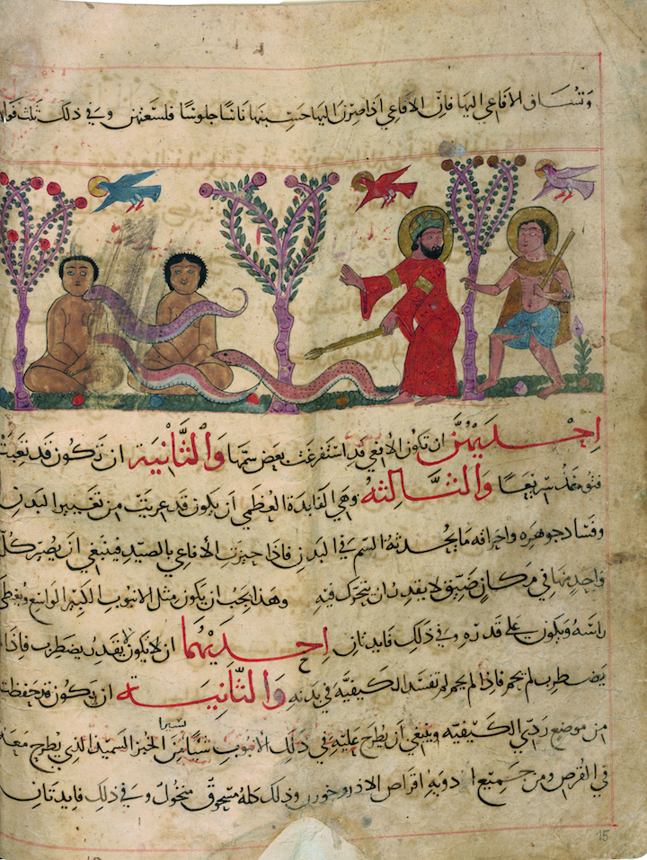 Viper hunt, from Theriaca book, c. 1220–40, Yaḥyā an-Naḥwī. Courtesy Martin-Gropius-Bau