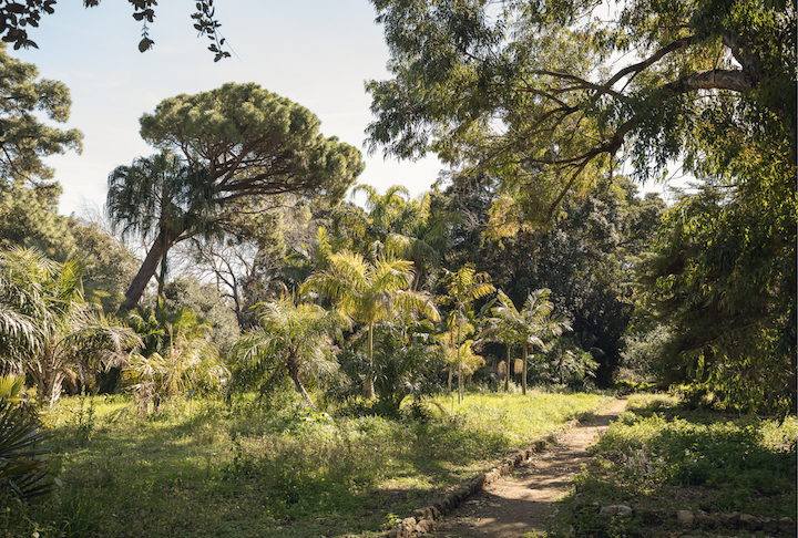 Orto Botanico di Palermo. Courtesy OMA; Photo: Delfino Sisto Legnani