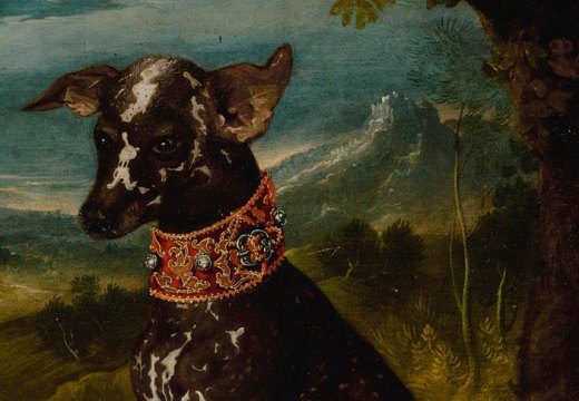 An exotic dog, the Mexican Xoloitzcuintli (c. 1580–1600), Prague School.