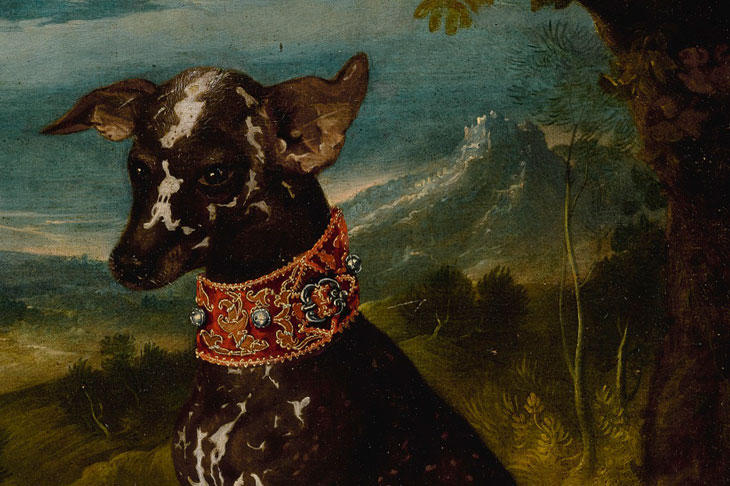 An exotic dog, the Mexican Xoloitzcuintli (c. 1580–1600), Prague School.