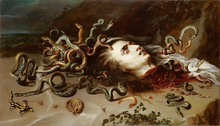 Head of Medusa (1617-18), Peter Paul Rubens. © KHM-Museumsverband