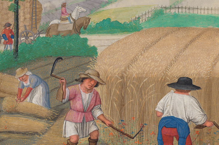 August: Reaping Wheat, 'Da Costa Hours' (detail; c, 1515), illuminated by Simon Bening. The Morgan Library & Museum, New York.
