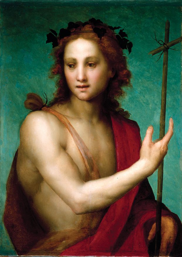 Saint John the Baptist (c. 1517), Andrea del Sarto, Worcester Art Museum, Massachusetts