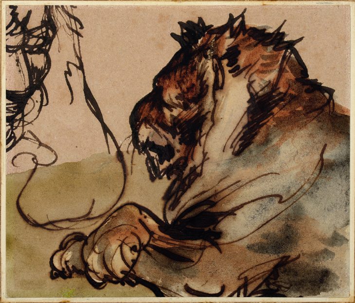 Study of a Lion at Rest, Théodore Géricault