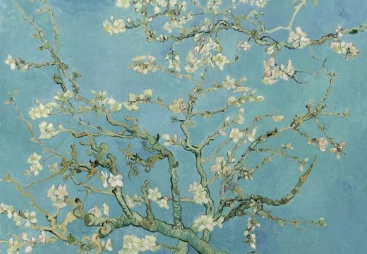 Almond Blossom, (1890), Vincent Van Gogh, Van Gogh Museum, Amsterdam