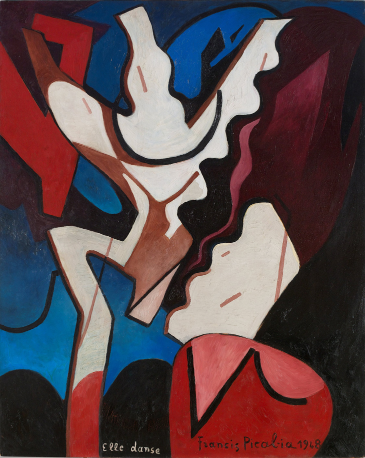 Elle Danse, Francis Picabia
