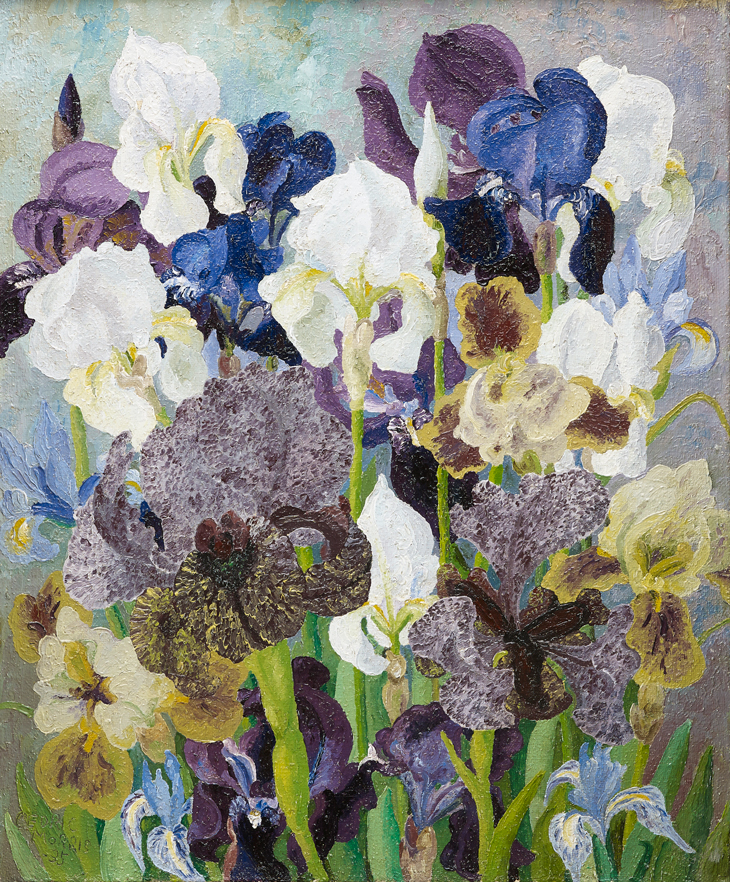 May Flowering Irises No. 2, Sir Cedric Morris