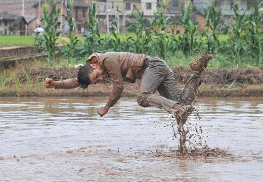 Freedom Farming (2014), Li Binyuan.