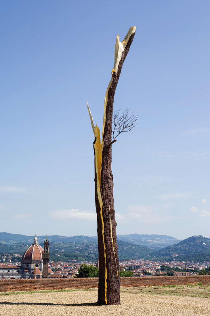 Albero folgorato, Giuseppe Penone