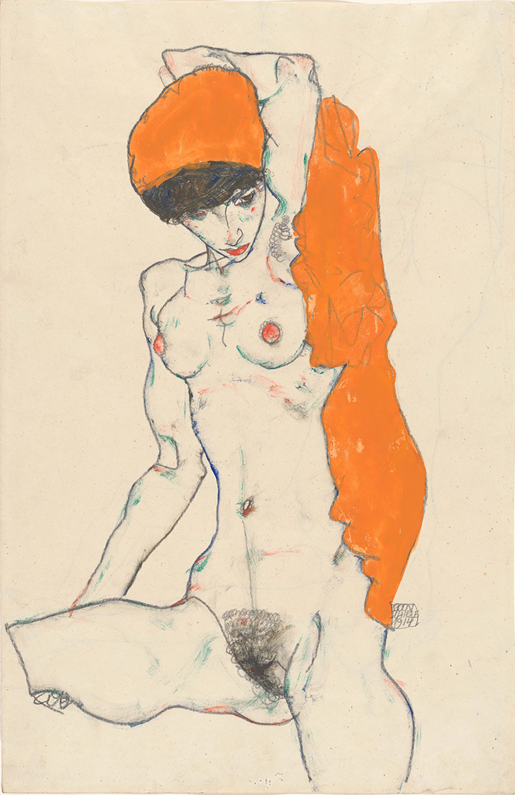 Standing Nude with Orange Drapery, Schiele