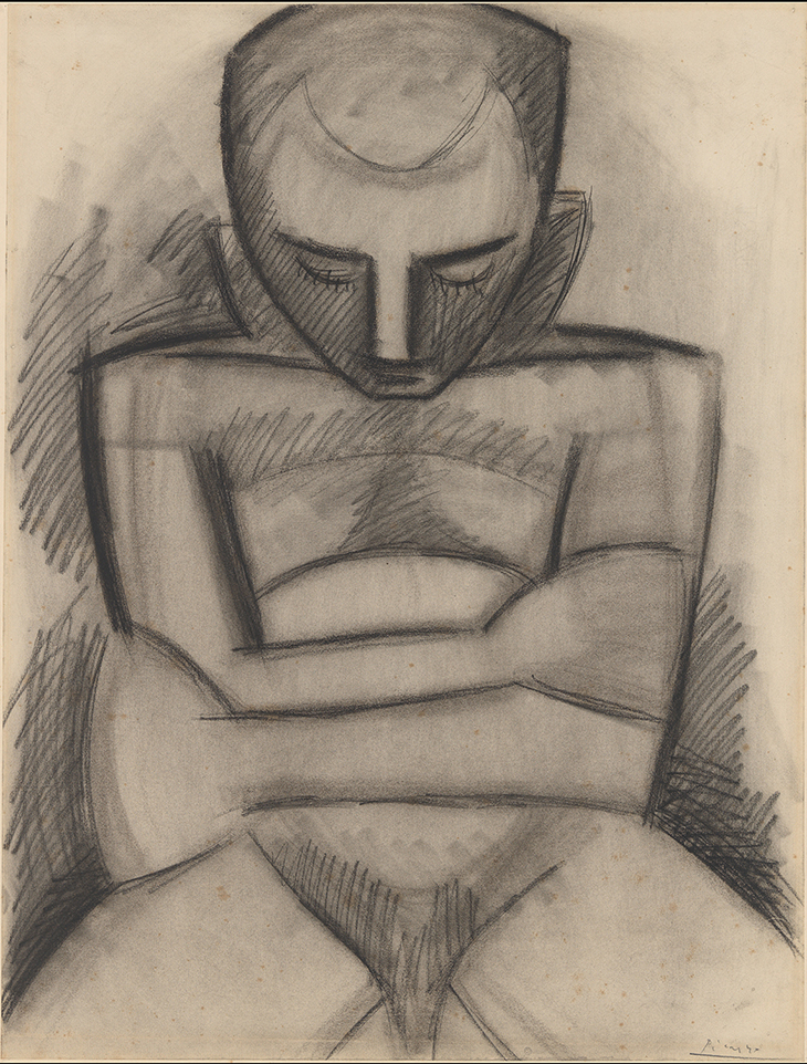 Seated Nude, Picasso