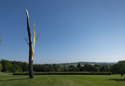 Lightning-struck Tree, (2012), Giuseppe Penone, Private collection, photo: © Jonty Wilde; courtesy the artist and Yorkshire Sculpture Park