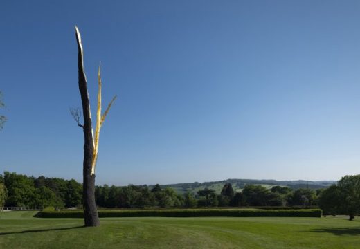 Lightning-struck Tree, (2012), Giuseppe Penone, Private collection, photo: © Jonty Wilde; courtesy the artist and Yorkshire Sculpture Park