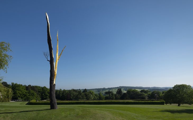 Lightning-struck Tree, (2012), Giuseppe Penone, Private collection, photo: © Jonty Wilde; courtesy the artist and Yorkshire Sculpture Park