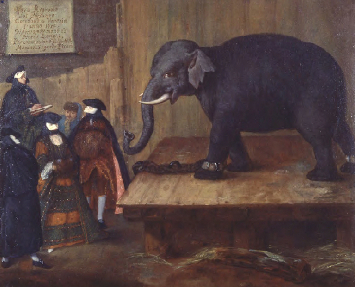 The Elephant, Pietra Falca, called Longhi