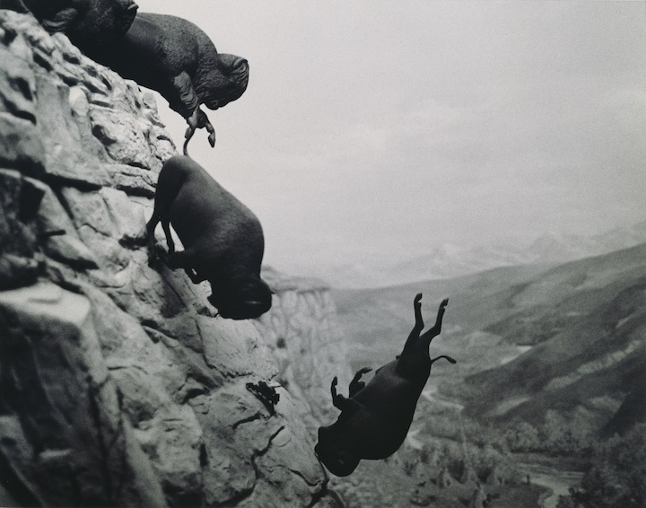 Untitled (Falling Buffalo) (1988-89), David Wojnarowicz. Image courtesy of The Estate of David Wojnarowicz and P.P.O.W., New York