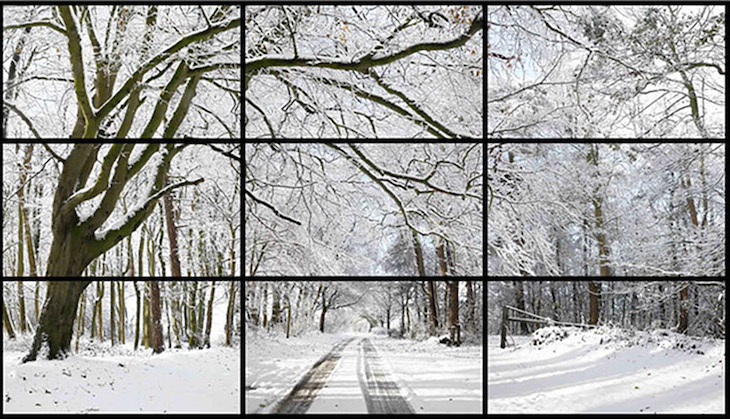 Woldgate Woods, Winter, David Hockney