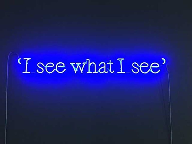 P.G. #9 (I see what I see.), Joseph Kosuth