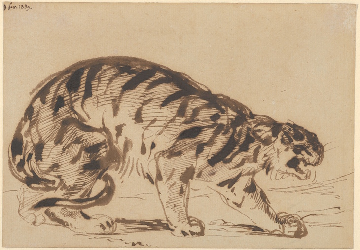 Crouching Tiger, Delacroix
