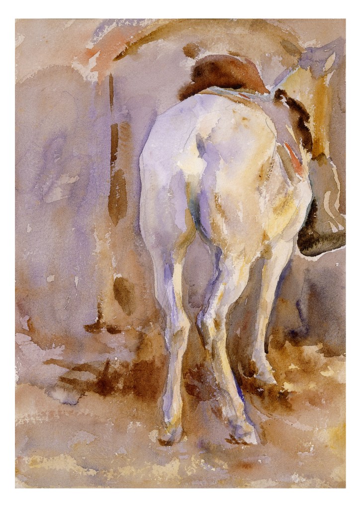 White Mule, (1905), John Singer Sargent, Private collection