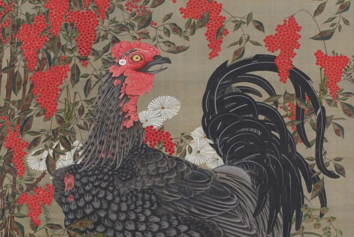 Black Rooster and Nandin, Jakuchu